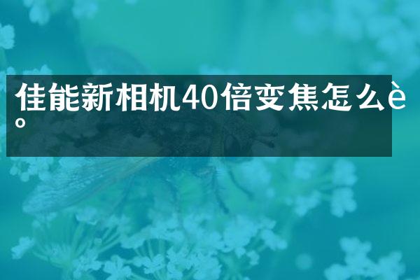 佳能新相机40倍变焦怎么调