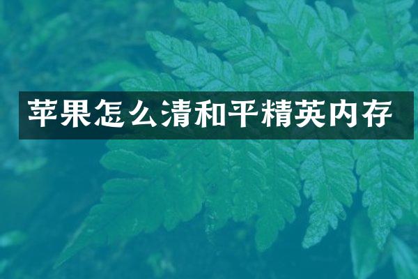 苹果怎么清和平精英内存