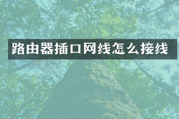 路由器插口网线怎么接线
