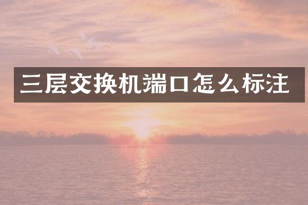 三层交换机端口怎么标注