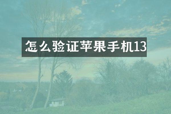 怎么验证苹果手机13