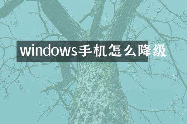 windows手机怎么降级