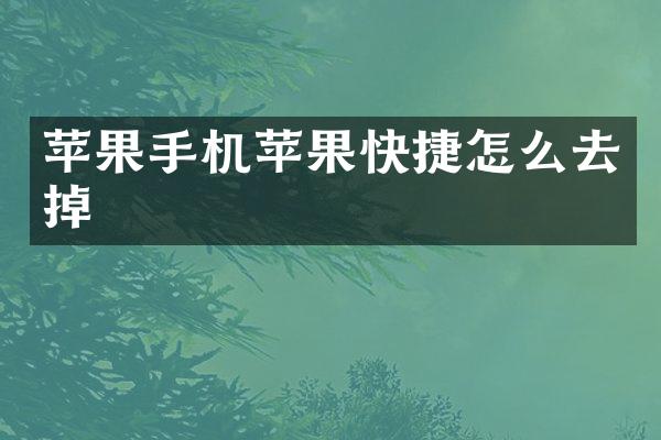 苹果手机苹果快捷怎么去掉