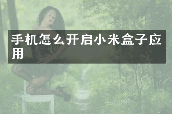 手机怎么开启小米盒子应用