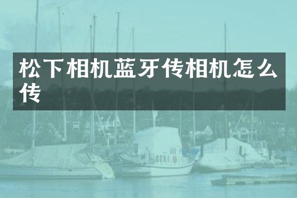 松下相机蓝牙传相机怎么传