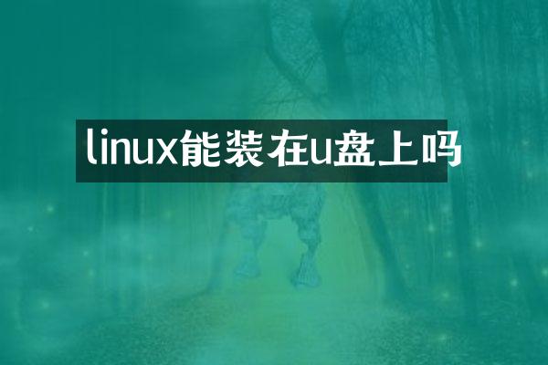 linux能装在u盘上吗