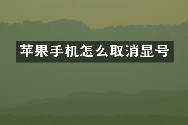 苹果手机怎么取消显号