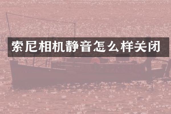 索尼相机静音怎么样关闭