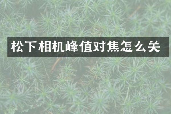 松下相机峰值对焦怎么关