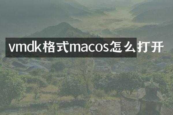 vmdk格式macos怎么打开