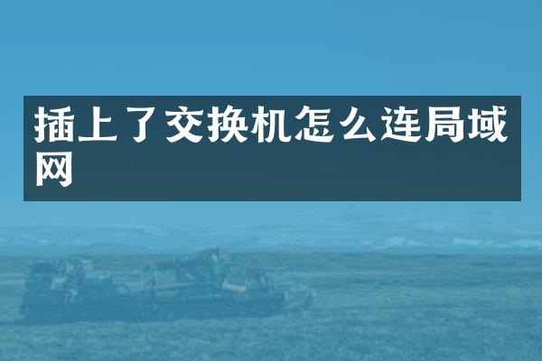 插上了交换机怎么连局域网