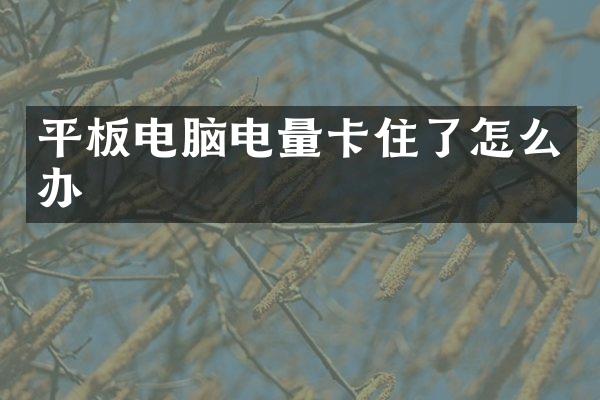 平板电脑电量卡住了怎么办