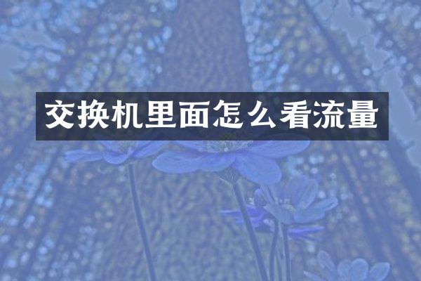 交换机里面怎么看流量