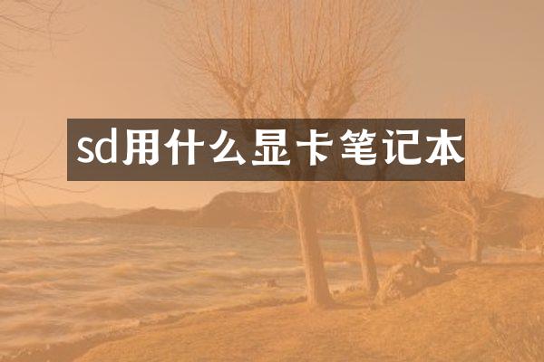 sd用什么显卡笔记本