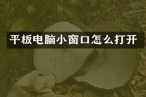 平板电脑小窗口怎么打开