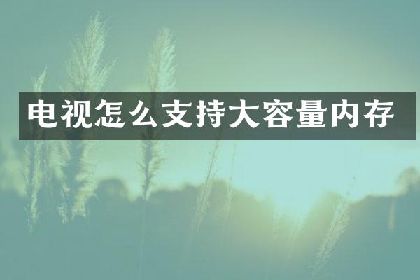 电视怎么支持大容量内存
