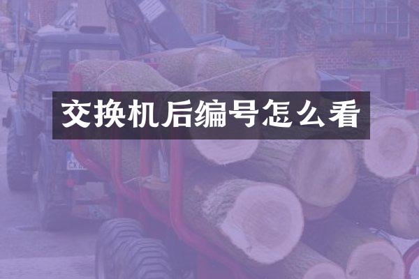 交换机后编号怎么看