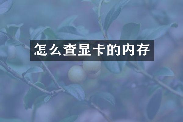 怎么查显卡的内存