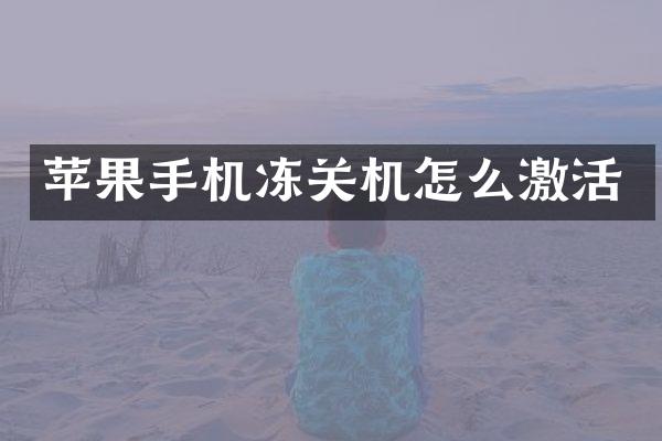 苹果手机冻关机怎么激活