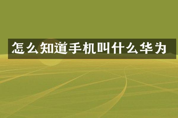 怎么知道手机叫什么华为