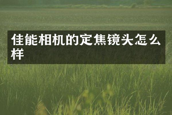 佳能相机的定焦镜头怎么样