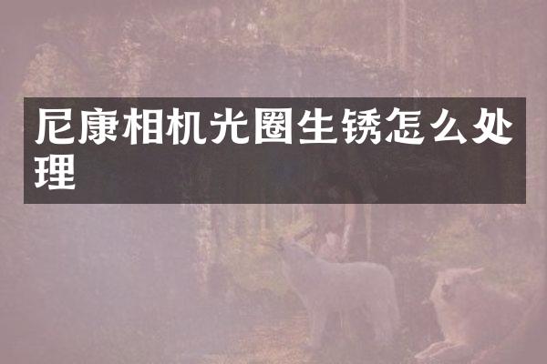 尼康相机光圈生锈怎么处理