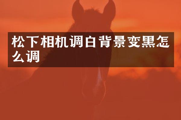 松下相机调白背景变黑怎么调