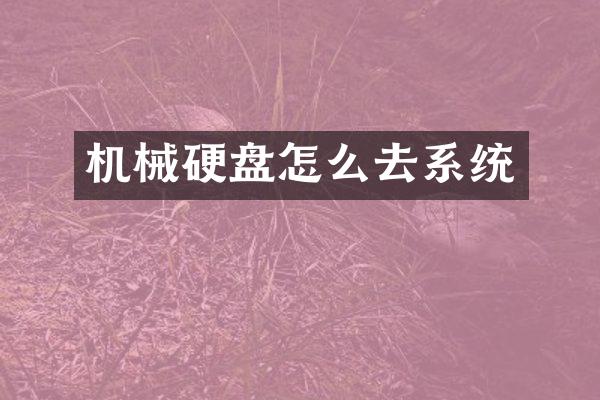 机械硬盘怎么去系统
