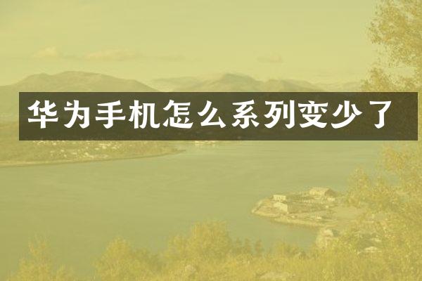 华为手机怎么系列变少了