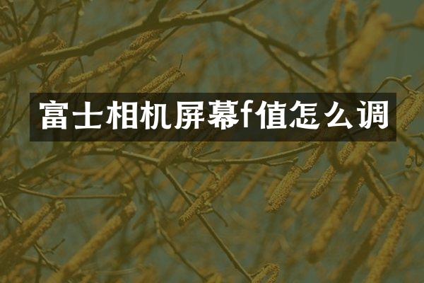 富士相机屏幕f值怎么调
