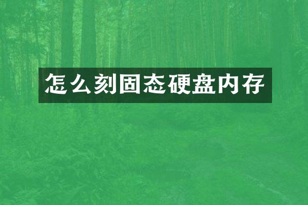 怎么刻固态硬盘内存