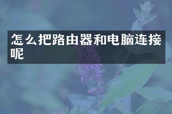 怎么把路由器和电脑连接呢