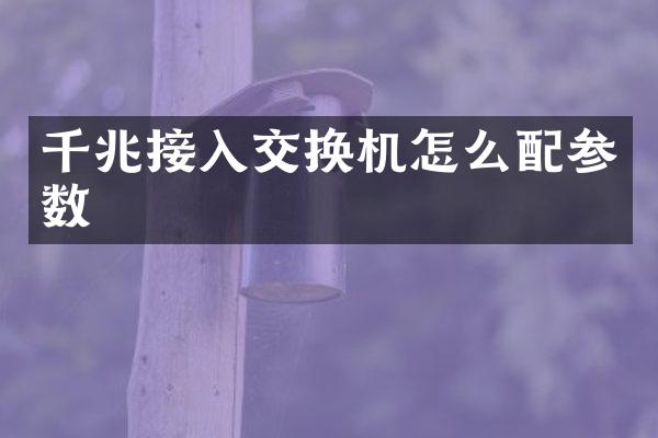 千兆接入交换机怎么配参数