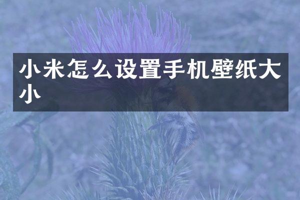 小米怎么设置手机壁纸大小