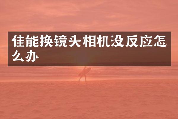 佳能换镜头相机没反应怎么办