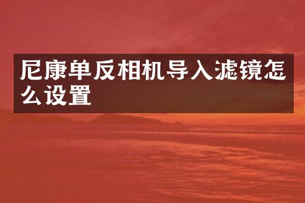 尼康单反相机导入滤镜怎么设置