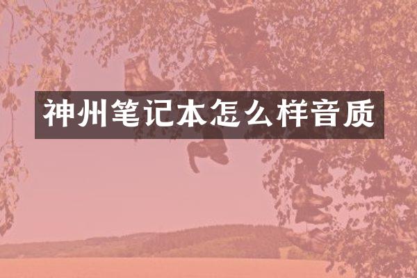 神州笔记本怎么样音质
