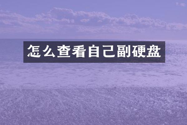 怎么查看自己副硬盘