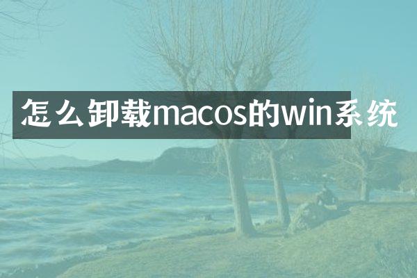 怎么卸载macos的win系统