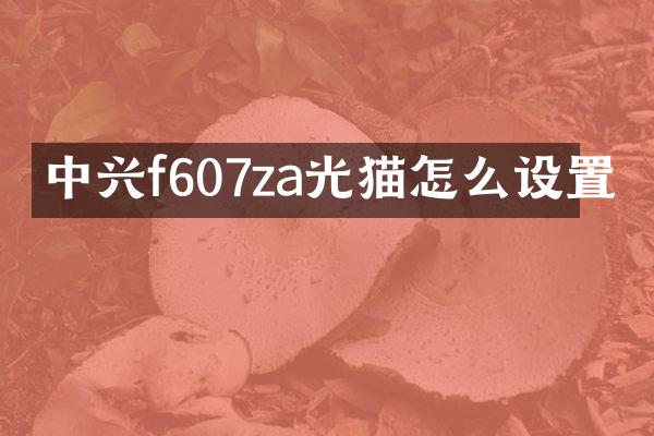 中兴f607za光猫怎么设置
