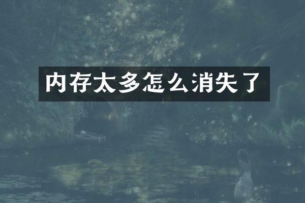 内存太多怎么消失了