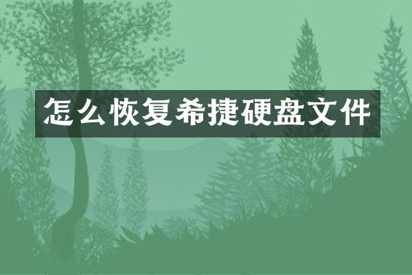 怎么恢复希捷硬盘文件