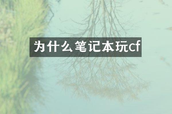 为什么笔记本玩cf