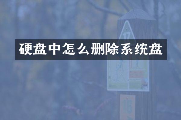 硬盘中怎么删除系统盘
