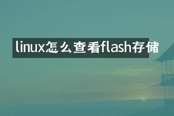 linux怎么查看flash存储