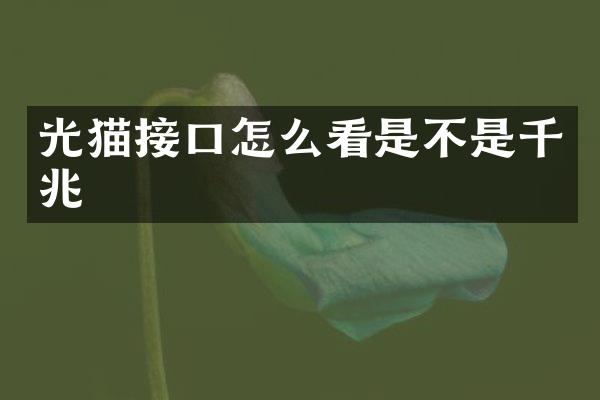 光猫接口怎么看是不是千兆