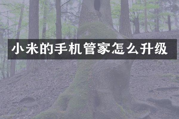 小米的手机管家怎么升级