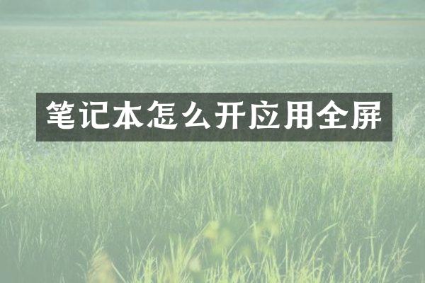 笔记本怎么开应用全屏