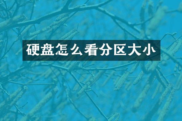硬盘怎么看分区大小