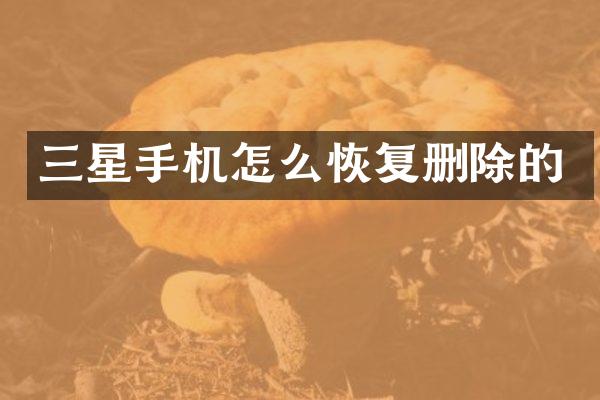 三星手机怎么恢复删除的
